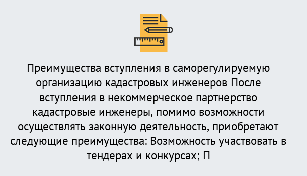 Почему нужно обратиться к нам? Кыштым Что дает допуск СРО кадастровых инженеров?