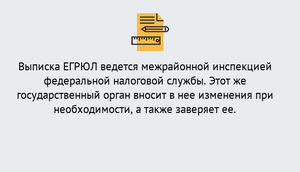 Почему нужно обратиться к нам? Кыштым Выписка ЕГРЮЛ в Кыштым ?