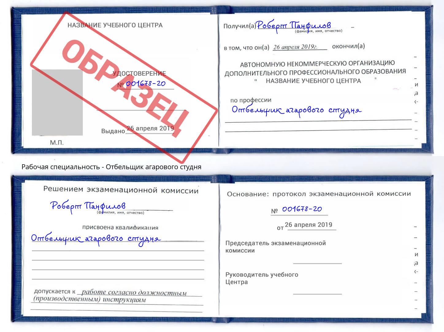 Отбельщик агарового студня Кыштым