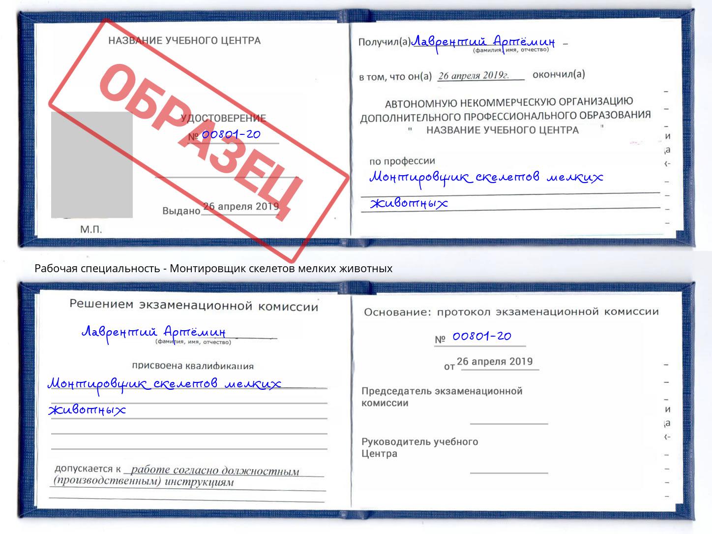 Монтировщик скелетов мелких животных Кыштым