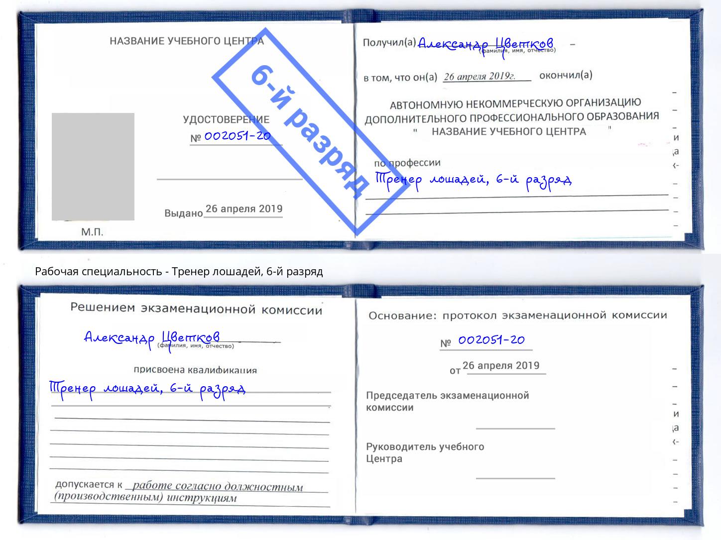 корочка 6-й разряд Тренер лошадей Кыштым